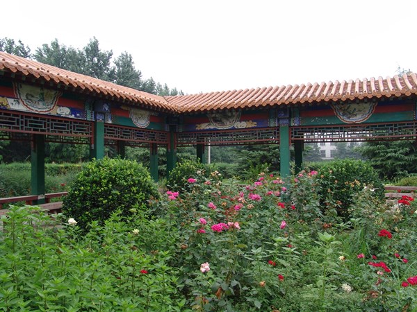 校园风光